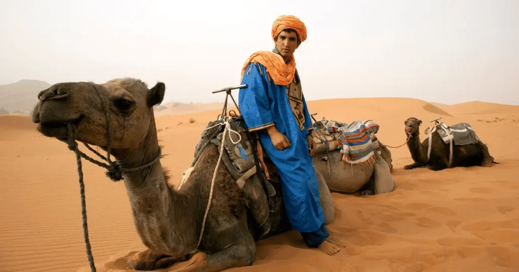 Embark on a camel trek to witness the stunning desert sunset